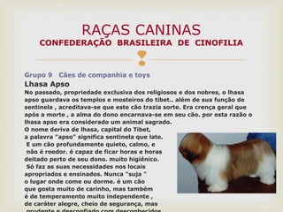
Grupo 9 Cães de companhia e toys
Lhasa Apso
No passado, propriedade exclusiva dos religiosos e dos nobres, o lhasa
apso guardava os templos e mosteiros do tibet.. além de sua função de
sentinela , acreditava-se que este cão trazia sorte. Era crença geral que
após a morte , a alma do dono encarnava-se em seu cão. por esta razão o
lhasa apso era considerado um animal sagrado.
O nome deriva de lhasa, capital do Tibet,
a palavra "apso" significa sentinela que late.
E um cão profundamente quieto, calmo, e
não é roedor. é capaz de ficar horas e horas
deitado perto de seu dono. muito higiênico.
Só faz as suas necessidades nos locais
apropriados e ensinados. Nunca "suja "
o lugar onde come ou dorme. é um cão
que gosta muito de carinho, mas também
é de temperamento muito independente ,
de caráter alegre, cheio de segurança, mas
RAÇAS CANINAS
CONFEDERAÇÃO BRASILEIRA DE CINOFILIA
 