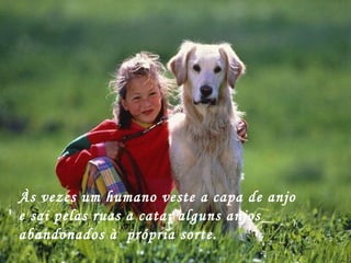 Às vezes um humano veste a capa de anjo e sai pelas ruas a catar alguns anjos abandonados à  própria sorte. 