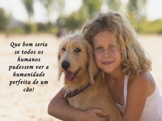 Que bom seria se todos os humanos pudessem ver a humanidade perfeita de um cão! 