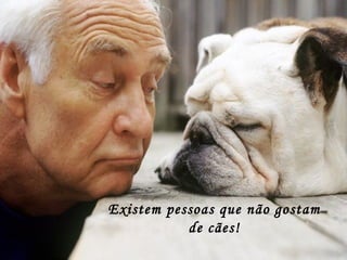 Existem pessoas que não gostam de cães! 