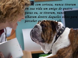 Estas, com certeza, nunca tiveram em sua vida um amigo de quatro patas ou, se tiveram, nunca olharam dentro daqueles olhos para perceber quem estava ali. 