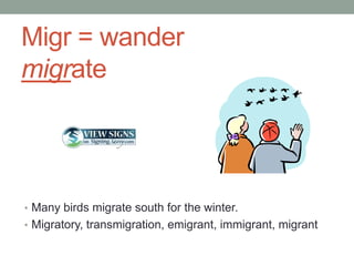 Migr = wander
migrate




• Many birds migrate south for the winter.
• Migratory, transmigration, emigrant, immigrant, migrant
 