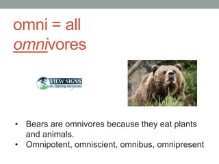 omni = all
omnivores



• Bears are omnivores because they eat plants
  and animals.
• Omnipotent, omniscient, omnibus, omnipresent
 