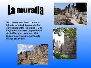 Se conserva un lienzo de unos 80m de longitud. La muralla fue construida entre los siglos II y III, llegando a alcanzar un perímetro de 3.000m y a contar con 120 torreones en sus momentos de mayor desarrollo.  La muralla 