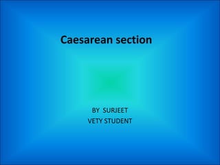 Caesarean section
BY SURJEET
VETY STUDENT
 