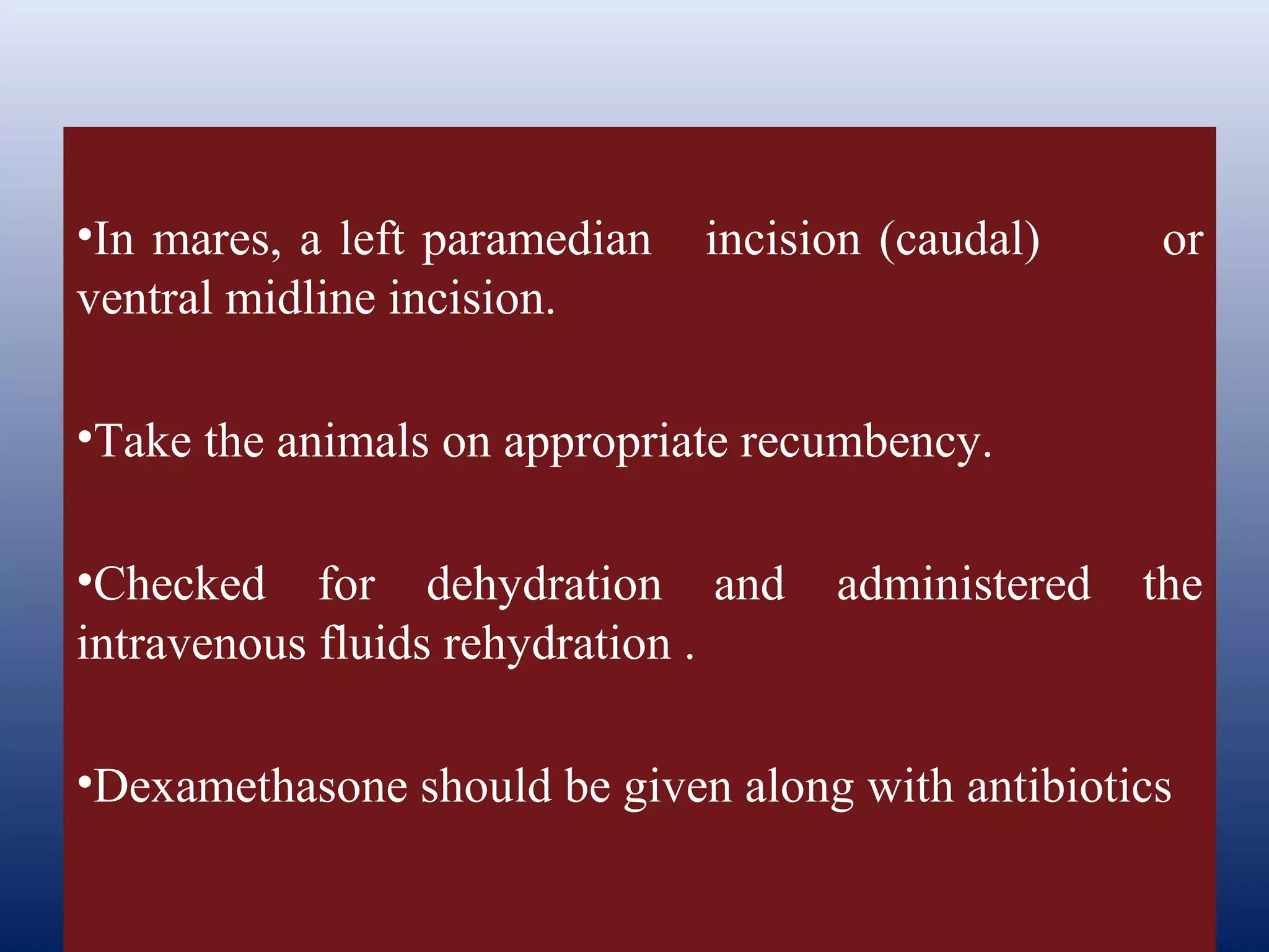 •In mares, a left paramedian incision (caudal) or
ventral midline incision.
•Take the animals on appropriate recumbency.
•Checked for dehydration and administered the
intravenous fluids rehydration .
•Dexamethasone should be given along with antibiotics
 