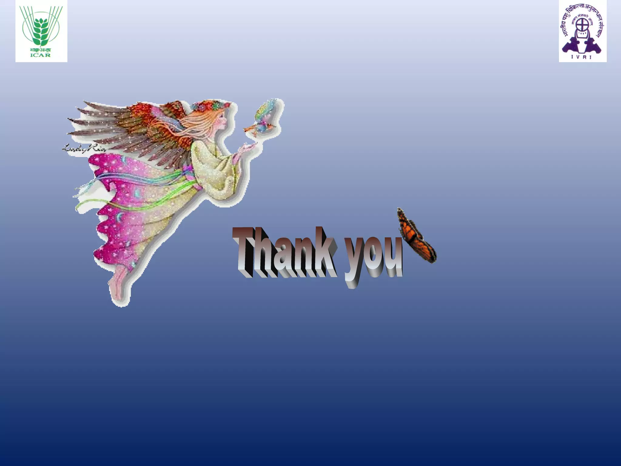 Caessarean section in bovines