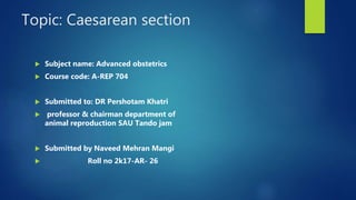 Topic: Caesarean section
 Subject name: Advanced obstetrics
 Course code: A-REP 704
 Submitted to: DR Pershotam Khatri
 professor & chairman department of
animal reproduction SAU Tando jam
 Submitted by Naveed Mehran Mangi
 Roll no 2k17-AR- 26
 