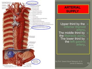 Upper third by the
inferior thyroid
artery.
The middle third by
the thoracic aorta.
The lower third by
the left gastric
artery.
By Prof. Saeed Abuel Makarem & Dr.
Jamila El Medany 12
 