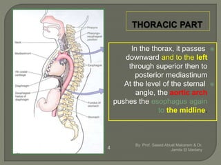 In the thorax, it passes
downward and to the left
through superior then to
posterior mediastinum
At the level of the sternal
angle, the aortic arch
pushes the esophagus again
to the midline.
By Prof. Saeed Abuel Makarem & Dr.
Jamila El Medany4
 