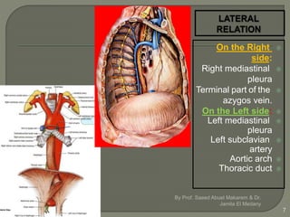 On the Right
side:
Right mediastinal
pleura
Terminal part of the
azygos vein.
On the Left side:
Left mediastinal
pleura
Left subclavian
artery
Aortic arch
Thoracic duct
By Prof. Saeed Abuel Makarem & Dr.
Jamila El Medany
7
 