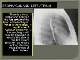 There is a close
relationship between
the left atrium of the
heart and esophagus.
What is the clinical
application?
A barium swallow in
the esophagus will
help the physician to
assess the size of
the left atrium
(dilation) as in case
of long standing
mitral stenosis or
heart failure.
 