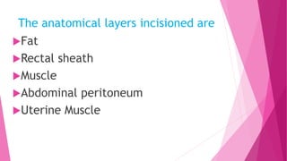 The anatomical layers incisioned are
Fat
Rectal sheath
Muscle
Abdominal peritoneum
Uterine Muscle
 