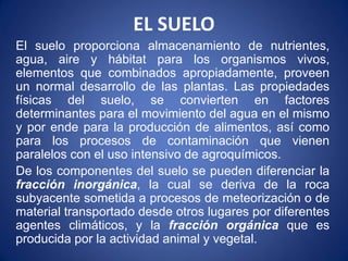 EL SUELO
El suelo proporciona almacenamiento de nutrientes,
agua, aire y hábitat para los organismos vivos,
elementos que combinados apropiadamente, proveen
un normal desarrollo de las plantas. Las propiedades
físicas del suelo, se convierten en factores
determinantes para el movimiento del agua en el mismo
y por ende para la producción de alimentos, así como
para los procesos de contaminación que vienen
paralelos con el uso intensivo de agroquímicos.
De los componentes del suelo se pueden diferenciar la
fracción inorgánica, la cual se deriva de la roca
subyacente sometida a procesos de meteorización o de
material transportado desde otros lugares por diferentes
agentes climáticos, y la fracción orgánica que es
producida por la actividad animal y vegetal.
 