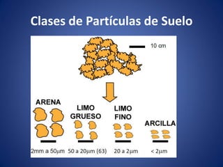 Clases de Partículas de Suelo
 