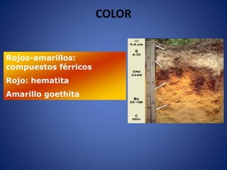 Rojos-amarillos:
compuestos férricos
Rojo: hematita
Amarillo goethita
COLOR
 