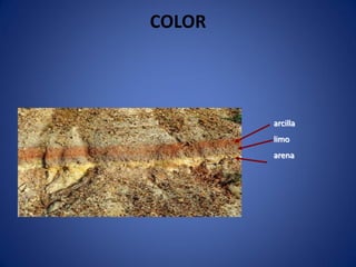 arcilla
limo
arena
COLOR
 