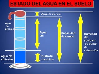 ESTADO DEL AGUA EN EL SUELO
Agua
de
drenaje
Agua de drenaje
Agua
útil
Punto de
marchites
Capacidad
de campo
Humedad
del
suelo en
su punto
de
saturación
Agua No
utilizable
 