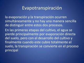 Evapotranspiración
la evaporación y la transpiración ocurren
simultáneamente y no hay una manera sencilla
de distinguir entre estos dos procesos.
En las primeras etapas del cultivo, el agua se
pierde principalmente por evaporación directa
del suelo, pero con el desarrollo del cultivo y
finalmente cuando este cubre totalmente el
suelo, la transpiración se convierte en el proceso
principal
 