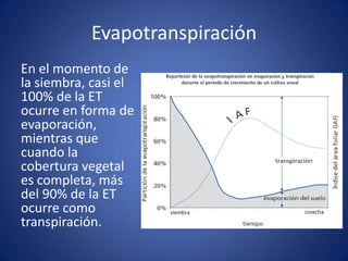 Evapotranspiración
En el momento de
la siembra, casi el
100% de la ET
ocurre en forma de
evaporación,
mientras que
cuando la
cobertura vegetal
es completa, más
del 90% de la ET
ocurre como
transpiración.
 
