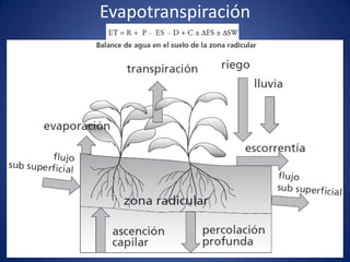 Evapotranspiración
 