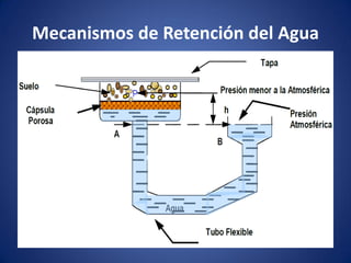 Mecanismos de Retención del Agua
 