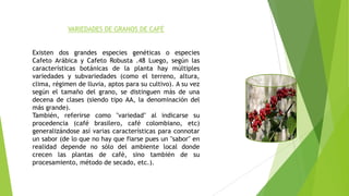 VARIEDADES DE GRANOS DE CAFÉ
Existen dos grandes especies genéticas o especies
Cafeto Arábica y Cafeto Robusta .48 Luego, según las
características botánicas de la planta hay múltiples
variedades y subvariedades (como el terreno, altura,
clima, régimen de lluvia, aptos para su cultivo). A su vez
según el tamaño del grano, se distinguen más de una
decena de clases (siendo tipo AA, la denominación del
más grande).
También, referirse como "variedad" al indicarse su
procedencia (café brasilero, café colombiano, etc)
generalizándose así varias características para connotar
un sabor (de lo que no hay que fiarse pues un "sabor" en
realidad depende no sólo del ambiente local donde
crecen las plantas de café, sino también de su
procesamiento, método de secado, etc.).
 