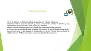 EFECTOS EN LA SALUD
Acción contraria al sueño (si el café no es descafeinado y contiene cafeína)
relaciones entre el consumo de café y varios padecimientos, desde la diabetes y las
enfermedades cardiovasculares hasta el cáncer y la cirrosis.
útil para inhibir el blefaroespasmo (tic o contracción involuntaria de los párpados)
se produce en cantidades elevadas un efecto diurético por lo que se limita al tener algún
padecimiento renal ya que agrega un trabajo excesivo en los riñones, también tiende a
acidificar nuestro PH favoreciendo así la desmineralización del organismo
 