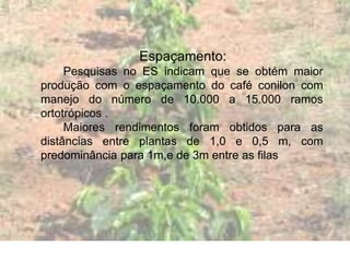 Espaçamento:
Pesquisas no ES indicam que se obtém maior
produção com o espaçamento do café conilon com
manejo do número de 10.000 a 15.000 ramos
ortotrópicos .
Maiores rendimentos foram obtidos para as
distâncias entre plantas de 1,0 e 0,5 m, com
predominância para 1m,e de 3m entre as filas
 