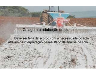 Calagem e adubação de plantio:
Deve ser feita de acordo com a necessidade do solo
através da interpretação do resultado da analise de solo.
 