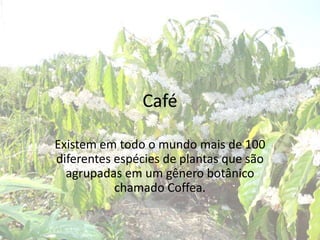 Café
Existem em todo o mundo mais de 100
diferentes espécies de plantas que são
agrupadas em um gênero botânico
chamado Coffea.
 