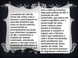 A produção de café do
Ceará não voltou mais a
alcançar a participação no
mercado brasileiro que
tinha no século anterior,
concentrando-se
principalmente nas áreas
que resistiram à proposta
do IBC e mantiveram a
tradição do sistema
sombreado, atendendo
apenas o mercado local. A
produção de café passou a
representar menos do que
0,1% do total produzido
pelo Brasil (IBGE: 1996).
Com a falta de incentivo
dado pela política do IBC à
produção de café
sombreado, que estava em
relativo equilíbrio com a
preservação da mata,
novas culturas como
banana e hortaliças
passaram a competir o
espaço com a floresta
nativa que sombreava o
café e foram introduzidas
pelos produtores que
necessitavam de outras
opções de renda. Isso
levou a um forte processo
de degradação ambiental e
ao empobrecimento da
Serra. Desde então, a
 