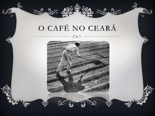 O CAFÉ NO CEARÁ
 
