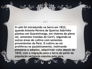 O café foi introduzido na Serra em 1822,
quando Antonio Pereira de Queiroz Sobrinho
plantou em Guaramiranga, em sistema de pleno
sol, sementes trazidas do Cariri, seguindo-se
outras áreas de cultivo com sementes
provenientes do Pará. O cultivo ao sol
proliferou-se paulatinamente, motivando
pioneiros e adeptos, adquirindo vulto depois de
1845, com a migração para a Serra de parte da
população sertaneja expulsa pela seca.
 