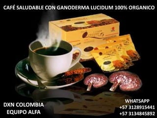 CAFÉ SALUDABLE CON GANODERMA LUCIDUM 100% ORGANICO
DXN COLOMBIA
EQUIPO ALFA
WHATSAPP
+57 3128915441
+57 3134845892
 