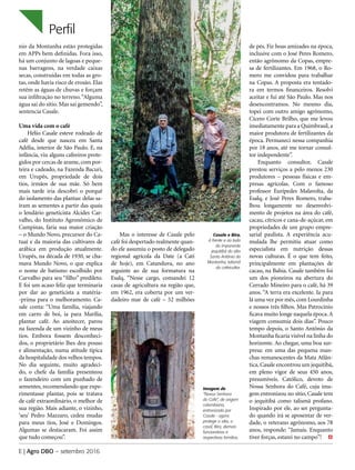 Perfil
nio da Montanha estão protegidas
em APPs bem definidas. Fora isso,
há um conjunto de lagoas e peque-
nas barragens, na verdade caixas
secas, construídas em todas as gro-
tas, onde havia risco de erosão. Elas
retêm as águas de chuvas e forçam
sua infiltração no terreno.“Alguma
água sai do sítio. Mas sai gemendo”,
sentencia Casale.
Uma vida com o café
Hélio Casale esteve rodeado de
café desde que nasceu em Santa
Adélia, interior de São Paulo. E, na
infância, viu alguns cafeeiros prote-
gidos por cercas de arame,com por-
teira e cadeado, na Fazenda Bacuri,
em Urupês, propriedade de dois
tios, irmãos de sua mãe. Só bem
mais tarde iria descobri o porquê
do isolamento das plantas: delas sa-
íram as sementes a partir das quais
o lendário geneticista Alcides Car-
valho, do Instituto Agronômico de
Campinas, faria sua maior criação
– o Mundo Novo, precursor do Ca-
tuaí e da maioria das cultivares de
arábica em produção atualmente.
Urupês, na década de 1930, se cha-
mava Mundo Novo, o que explica
o nome de batismo escolhido por
Carvalho para seu “filho” predileto.
E foi um acaso feliz que terminaria
por dar ao geneticista a matéria-
-prima para o melhoramento. Ca-
sale conta: “Uma família, viajando
em carro de boi, ia para Marília,
plantar café. Ao anoitecer, parou
na fazenda de um vizinho de meus
tios. Embora fossem desconheci-
dos, o proprietário lhes deu pouso
e alimentação, numa atitude típica
da hospitalidade dos velhos tempos.
No dia seguinte, muito agradeci-
do, o chefe da família presenteou
o fazendeiro com um punhado de
sementes, recomendando que expe-
rimentasse plantar, pois se tratava
de café extraordinário, o melhor de
sua região. Mais adiante, o vizinho,
‘seu’ Pedro Mazzaro, cedeu mudas
para meus tios, José e Domingos.
Algumas se destacaram. Foi assim
que tudo começou”.
E | Agro DBO – setembro 2016
Mas o interesse de Casale pelo
café foi despertado realmente quan-
do ele assumiu o posto de delegado
regional agrícola da Date (a Cati
de hoje), em Catanduva, no ano
seguinte ao de sua formatura na
Esalq. “Nesse cargo, comandei 12
casas de agricultura na região que,
em 1962, era coberta por um ver-
dadeiro mar de café – 52 milhões
de pés. Fiz boas amizades na época,
inclusive com o José Peres Romero,
então agrônomo da Copas, empre-
sa de fertilizantes. Em 1968, o Ro-
mero me convidou para trabalhar
na Copas. A proposta era tentado-
ra em termos financeiros. Resolvi
aceitar e fui até São Paulo. Mas nos
desencontramos. No mesmo dia,
topei com outro amigo agrônomo,
Cícero Corte Brilho, que me levou
imediatamente para a Quimbrasil,a
maior produtora de fertilizantes da
época. Permaneci nessa companhia
por 18 anos, até me tornar consul-
tor independente”.
Enquanto consultor, Casale
prestou serviços a pelo menos 230
produtores – pessoas físicas e em-
presas agrícolas. Com o famoso
professor Eurípedes Malavolta, da
Esalq, e José Peres Romero, traba-
lhou longamente no desenvolvi-
mento de projetos na área do café,
cacau, cítricos e cana-de-açúcar, em
propriedades de um grupo empre-
sarial paulista. A experiência acu-
mulada lhe permitiu atuar como
especialista em nutrição dessas
novas culturas. É o que tem feito,
principalmente em plantações de
cacau, na Bahia. Casale também foi
um dos pioneiros na abertura do
Cerrado Mineiro para o café, há 39
anos. “A terra era excelente. Ia para
lá uma vez por mês, com Lourdinha
e nossos três filhos. Mas Patrocínio
ficava muito longe naquela época.A
viagem consumia dois dias”. Pouco
tempo depois, o Santo Antônio da
Montanha ficaria visível na linha do
horizonte. Ao chegar, uma boa sur-
presa: em uma das pequena man-
chas remanescentes da Mata Atlân-
tica,Casale encontrou um jequitibá,
em pleno vigor de seus 450 anos,
presumíveis. Católico, devoto de
Nossa Senhora do Café, cuja ima-
gem entronizou no sítio, Casale tem
o jequitibá como talismã profano.
Inspirado por ele, ao ser pergunta-
do quando irá se aposentar de ver-
dade, o veterano agrônomo, aos 78
anos, responde: “Jamais. Enquanto
tiver forças, estarei no campo”!	
Imagem de
“Nossa Senhora
do Café”, de origem
colombiana,
entronizada por
Casale - agora
protege o sítio, o
casal, Bira, demais
funcionários e
respectivas familias.
Casale e Bira,
à frente e ao lado
do imponente
jequitibá do sítio
Santo Antônio da
Montanha, talismã
do cafeicultor.
 