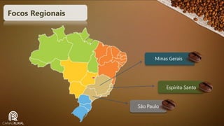 Focos Regionais

Minas Gerais

Espírito Santo

São Paulo

 