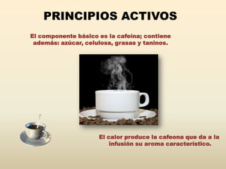 PRINCIPIOS ACTIVOS
El componente básico es la cafeína; contiene
 además: azúcar, celulosa, grasas y taninos.




                     El calor produce la cafeona que da a la
                         infusión su aroma característico.
 