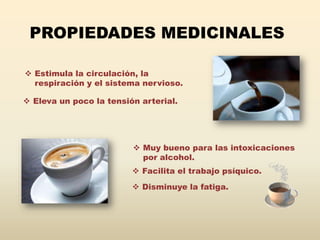 PROPIEDADES MEDICINALES

 Estimula la circulación, la
  respiración y el sistema nervioso.

 Eleva un poco la tensión arterial.




                          Muy bueno para las intoxicaciones
                           por alcohol.
                          Facilita el trabajo psíquico.
                          Disminuye la fatiga.
 