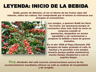 LEYENDA: INICIO DE LA BEBIDA
       Kaldi, pastor de Abisinia, al ver el efecto de los frutos rojos del
  arbusto, sobre las cabras, fue comprobado por él mismo al renovarse sus
                          energías al consumirlos.

                                   Los monjes, a quienes Kaldi les llevó
                                     los frutos, los quemaron porque al
                                   cocinarlos olían mal. Cuál no sería su
                                             sorpresa cuando al
                                      quemarlos, despedían un aroma
                                       agradable y así comenzaron a
                                    preparar la bebida a base de granos
                                                   tostados.
                                   En el año 1600 el Papa Clemente VIII
                                  , después de haber probado el café, lo
                                     bautizó y le permitió a los monjes
                                    tomarlo porque podían mantenerse
                                     mucho tiempo despiertos y con el
                                               espíritu limpio.

   Hoy: Alrededor del café ocurren conversaciones acerca de los
acontecimientos mundiales; ofrecer un café es símbolo de hospitalidad
                           y de acogida.
 