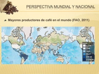 Mayores productores de café en el mundo (FAO, 2011)
PERSPECTIVA MUNDIAL Y NACIONAL
 