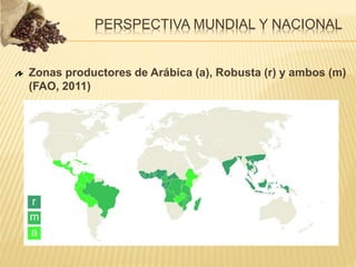 Zonas productores de Arábica (a), Robusta (r) y ambos (m)
(FAO, 2011)
PERSPECTIVA MUNDIAL Y NACIONAL
 