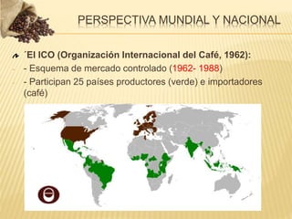 ´El ICO (Organización Internacional del Café, 1962):
- - Esquema de mercado controlado (1962- 1988)
- - Participan 25 países productores (verde) e importadores
(café)
PERSPECTIVA MUNDIAL Y NACIONAL
 