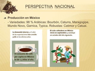 Producción en México
- - Variedades: 98 % Arábicas: Bourbón, Caturra, Maragogipe,
Mundo Novo, Garnica, Typica. Robustas: Catimor y Catuai.
PERSPECTIVA NACIONAL
 