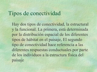 Tipos de conectividad
 Hay dos tipos de conectividad, la estructural
 y la funcional. La primera, está determinada
 por la distribución espacial de los diferentes
 tipos de hábitat en el paisaje, El segundo
 tipo de conectividad hace referencia a las
 diferentes respuestas conductuales por parte
 de los individuos a la estructura física del
 paisaje
 