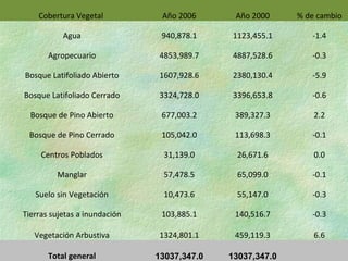 Cobertura Vegetal           Año 2006      Año 2000     % de cambio

           Agua                 940,878.1    1123,455.1       -1.4

       Agropecuario            4853,989.7    4887,528.6       -0.3

Bosque Latifoliado Abierto     1607,928.6    2380,130.4       -5.9

Bosque Latifoliado Cerrado     3324,728.0    3396,653.8       -0.6

  Bosque de Pino Abierto        677,003.2     389,327.3        2.2

 Bosque de Pino Cerrado         105,042.0     113,698.3       -0.1

     Centros Poblados           31,139.0      26,671.6         0.0

         Manglar                57,478.5      65,099.0        -0.1

   Suelo sin Vegetación         10,473.6      55,147.0        -0.3

Tierras sujetas a inundación    103,885.1     140,516.7       -0.3

   Vegetación Arbustiva        1324,801.1     459,119.3        6.6

       Total general           13037,347.0   13037,347.0         
 
