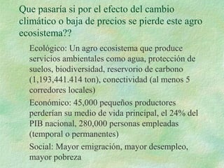 Que pasaría si por el efecto del cambio
climático o baja de precios se pierde este agro
ecosistema??
  Ecológico: Un agro ecosistema que produce
  servicios ambientales como agua, protección de
  suelos, biodiversidad, reservorio de carbono
  (1,193,441.414 ton), conectividad (al menos 5
  corredores locales)
  Económico: 45,000 pequeños productores
  perderían su medio de vida principal, el 24% del
  PIB nacional, 280,000 personas empleadas
  (temporal o permanentes)
  Social: Mayor emigración, mayor desempleo,
  mayor pobreza
 