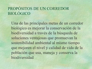 PROPÓSITOS DE UN CORREDOR
BIOLÓGICO

 Una de las principales metas de un corredor
 biológico es mejorar la conservación de la
 biodiversidad a través de la búsqueda de
 soluciones ventajosas que promuevan la
 sostenibilidad ambiental al mismo tiempo
 que mejoren el nivel y calidad de vida de la
 población que usa, maneja y conserva la
 biodiversidad
 