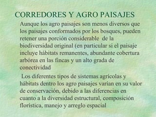 CORREDORES Y AGRO PAISAJES
 Aunque los agro paisajes son menos diversos que
 los paisajes conformados por los bosques, pueden
 retener una porción considerable de la
 biodiversidad original (en particular si el paisaje
 incluye hábitats remanentes, abundante cobertura
 arbórea en las fincas y un alto grada de
 conectividad
  Los diferentes tipos de sistemas agrícolas y
 hábitats dentro los agro paisajes varían en su valor
 de conservación, debido a las diferencias en
 cuanto a la diversidad estructural, composición
 florística, manejo y arreglo espacial
 