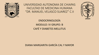 UNIVERSIDAD AUTONOMA DE CHIAPAS
FACULTAD DE MEDICINA HUMANA
“DR. MANUEL VELASCO SUAREZ” C.II
ENDOCRINOLOGÍA
MODULO: IV GRUPO: B
CAFÉ Y DIABETES MELLITUS
DIANA MARGARITA GARCÍA CAL Y MAYOR
 